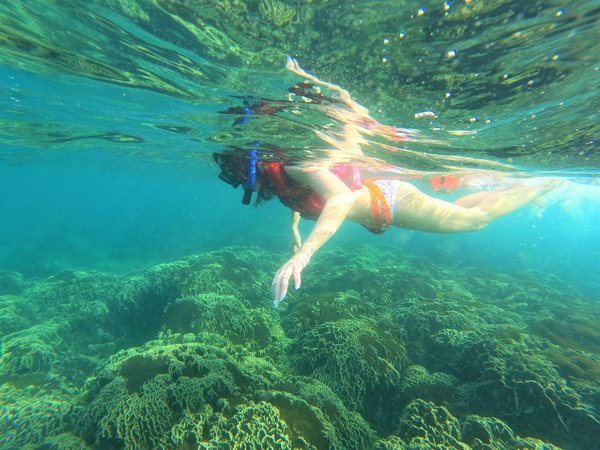 Où trouver les meilleurs spots pour le snorkeling à Bora Bora, Polynésie française ?
